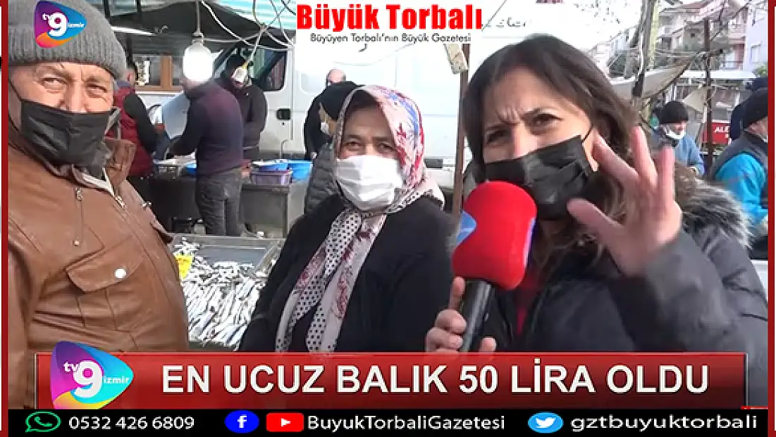 VİDEO HABER – En ucuz balık 50 lira oldu