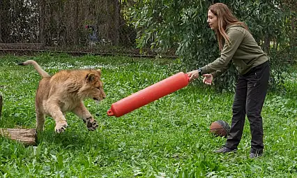 İzmir Doğal Yaşam Parkı özel bir konuğu ağırlıyor