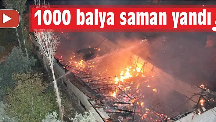 1000 BALYA SAMAN YANDI  