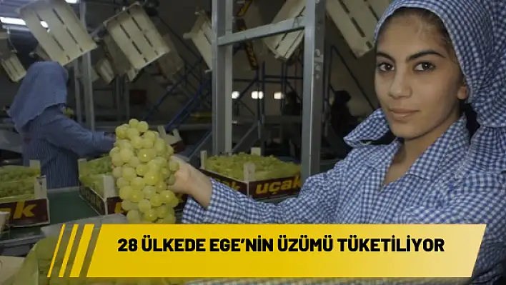 28 ülkede Ege'nin üzümü tüketiliyor