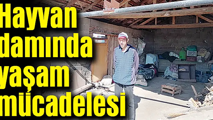 5 aydır damda kalıyor