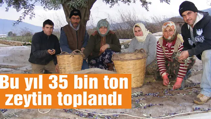 71 bin dekar alanda üretim yapılıyor