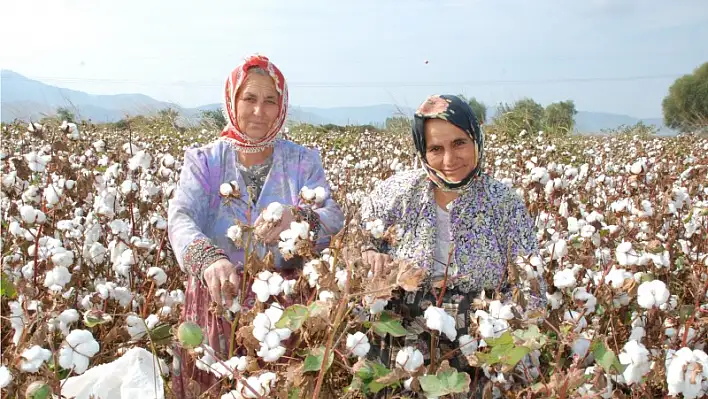 Acı ama gerçek!