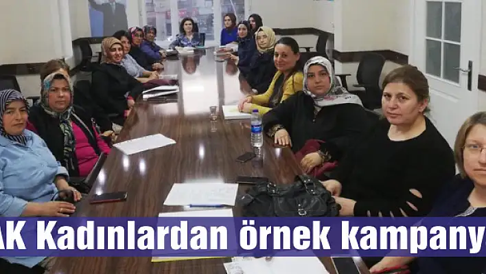 AK Kadınlardan örnek kampanya