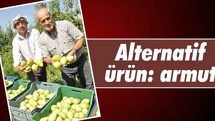 Alternatif ürün: armut