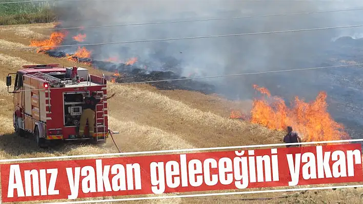 Anız yakan geleceğini yakar