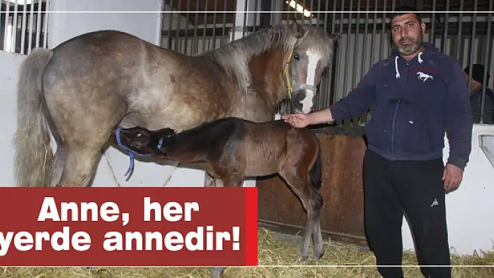 Anne, her yerde annedir!