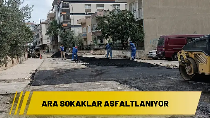 Ara sokaklar asfaltlanıyor