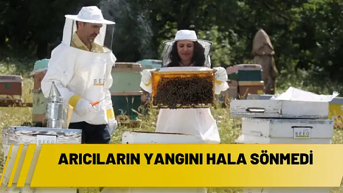 Arıcıların yangını hala sönmedi