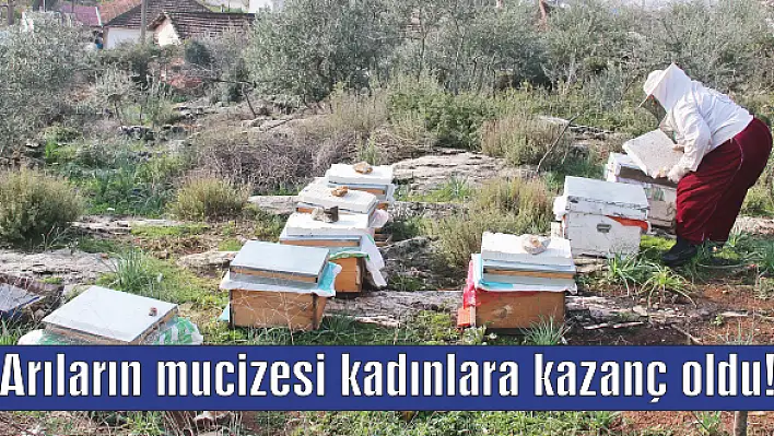 Arıların mucizesi kadınlara kazanç oldu!