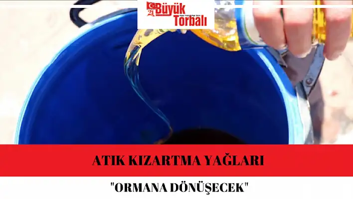 Atık kızartma yağları “ormana dönüşecek”