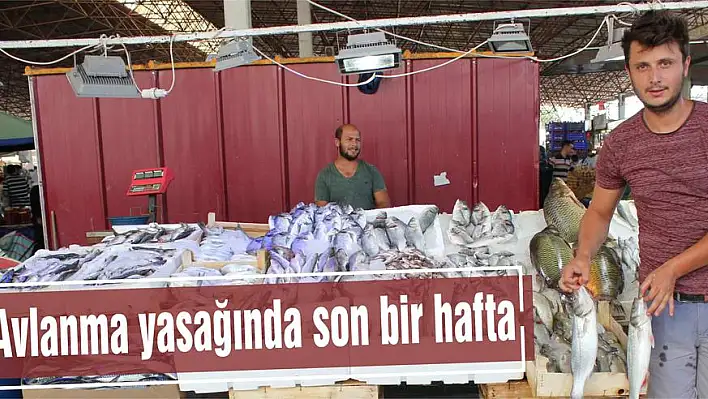 Avlanma yasağında son bir hafta