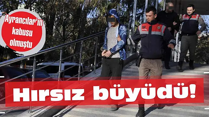 Ayrancılar'ın kabusu olmuştu