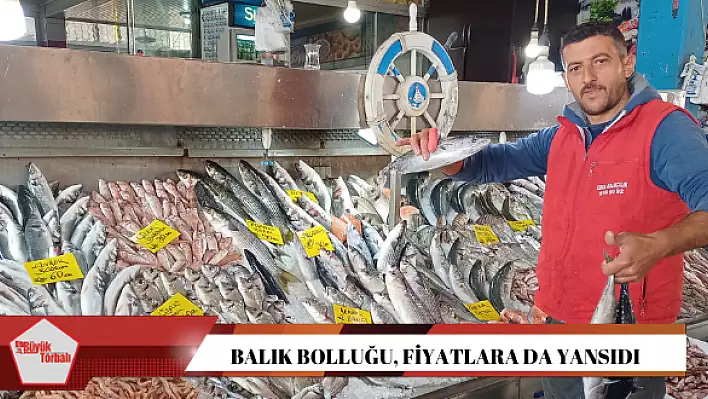 Balık bolluğu, fiyatlara da yansıdı