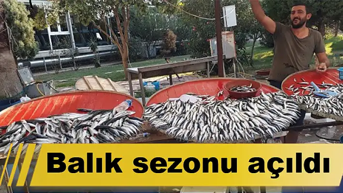 Balık sezonu açıldı