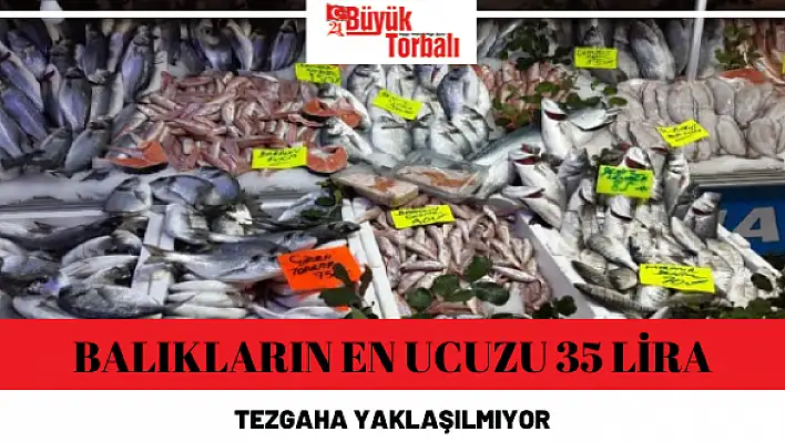 Balıkların en ucuzu 35 lira