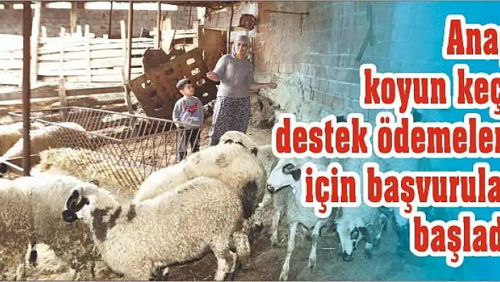 Başvurular başladı