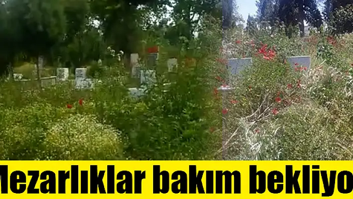 Bayram öncesi mezarlıkların durumu içler acısı