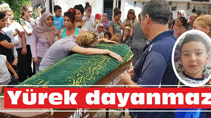 'Beni bırakıp da nereye gidiyorsun?'