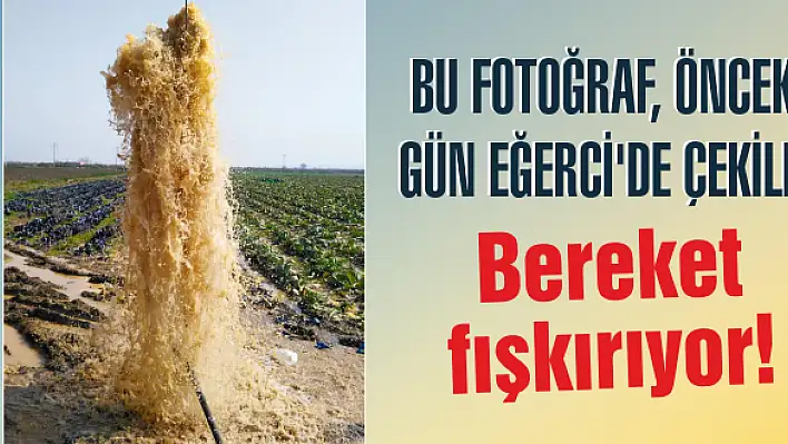 Bereket fışkırıyor!