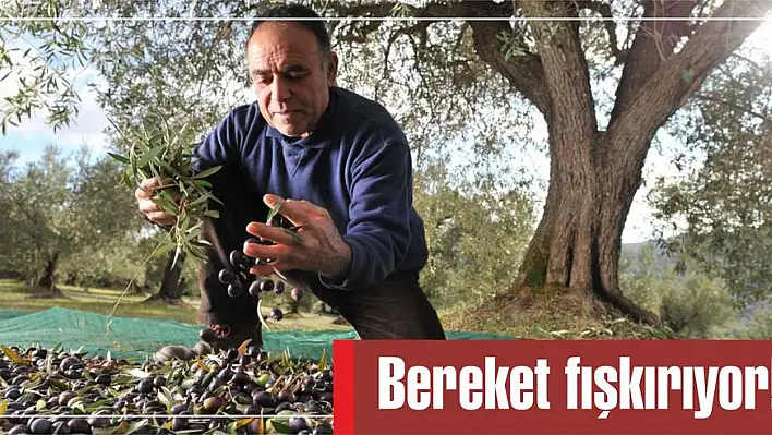 Bereket fışkırıyor