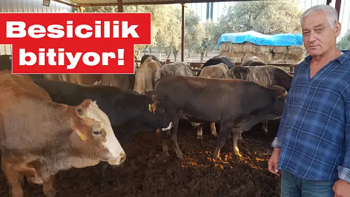 Besicilik bitiyor!