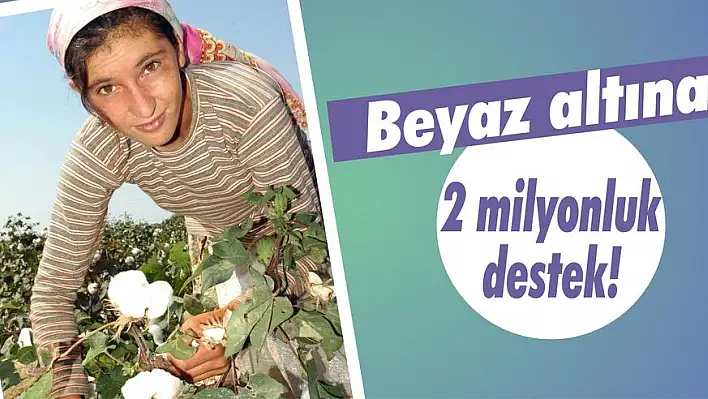 Beyaz altına 2 milyonluk destek