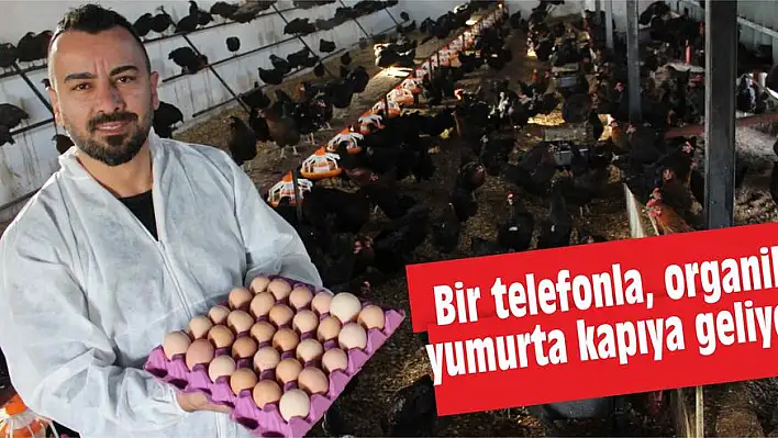 Bir telefonla, organik yumurta kapıya geliyor