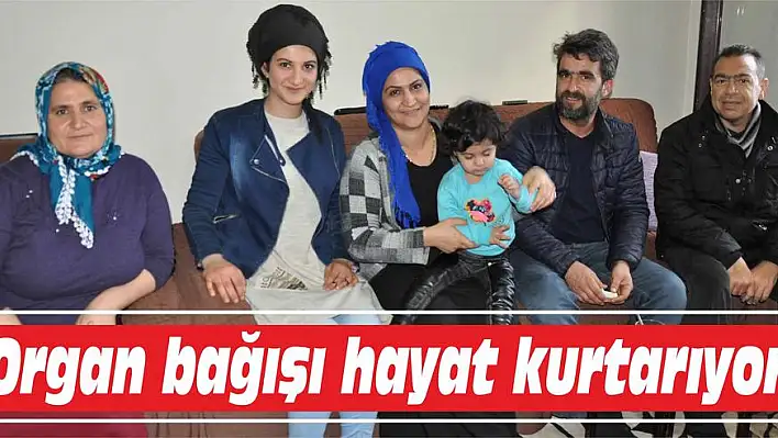 Böbrek kardeşliği