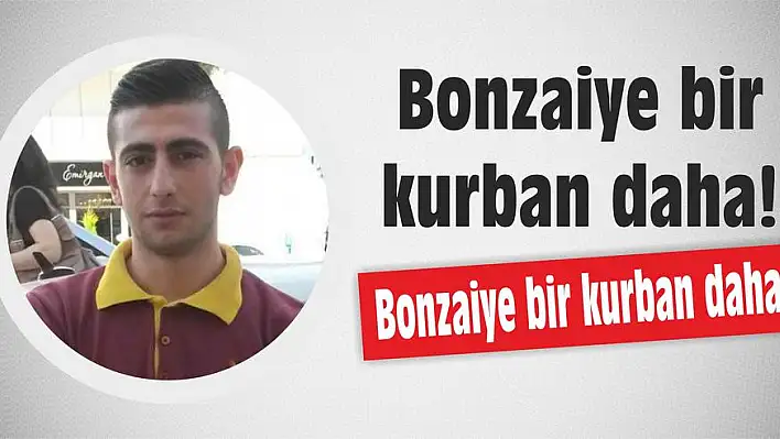 Bonzaiye bir kurban daha