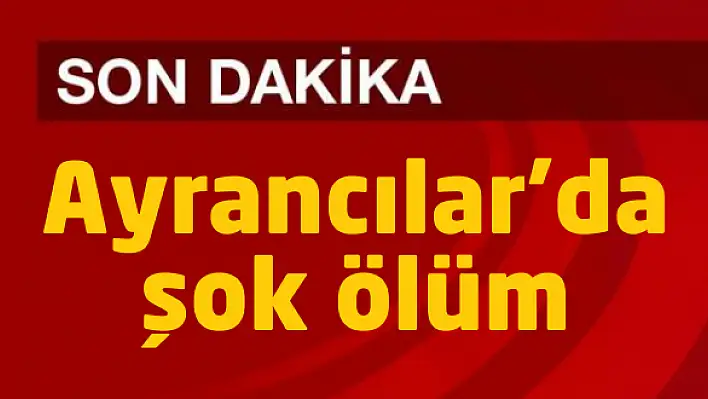 Boya yaptığı dairede ölü bulundu!