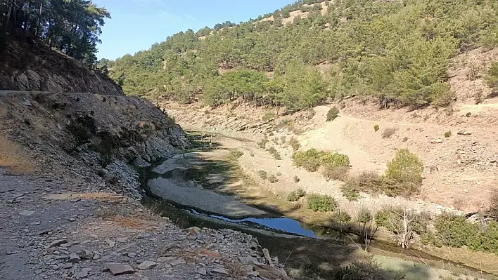 BU SONBAHAR SONUMUZ OLACAK!