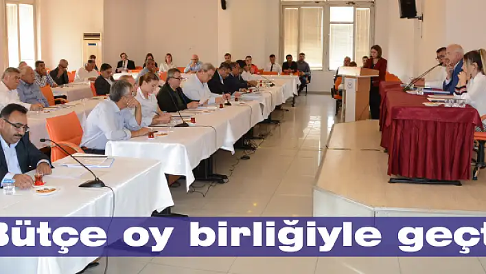 Bütçe oy birliğiyle geçti