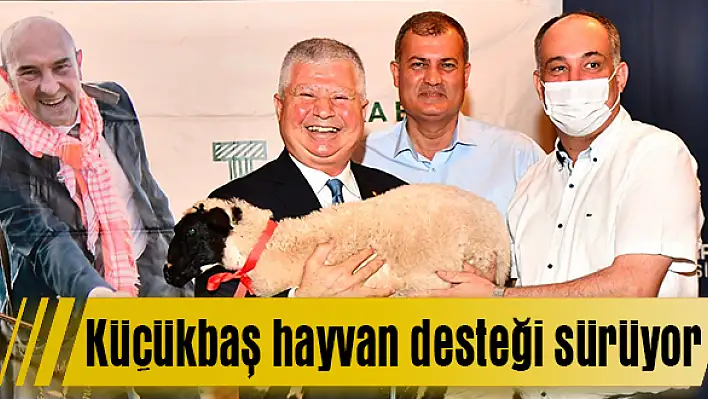 Büyükşehir'den küçükbaş hayvan desteği sürüyor