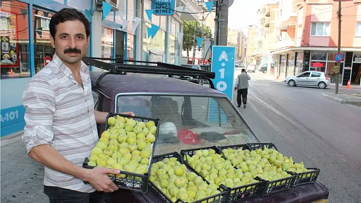 Çapak’la özdeşleşen incir: BARDACIK