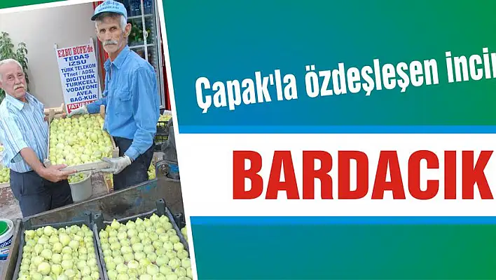 Çapak’la özdeşleşen incir: BARDACIK