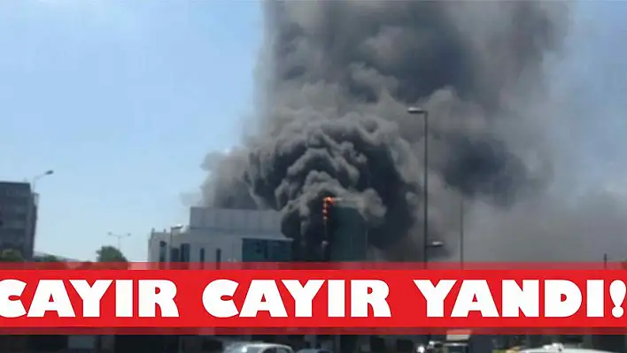 Cayır cayır yandı!