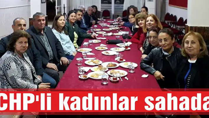 CHP'li kadınlar sahada