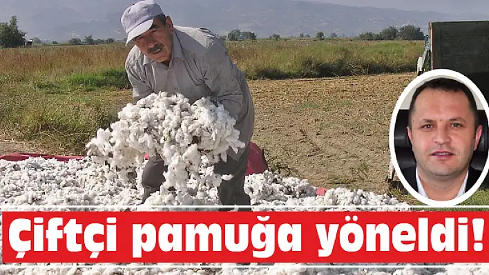 Çiftçi pamuğa yöneldi!