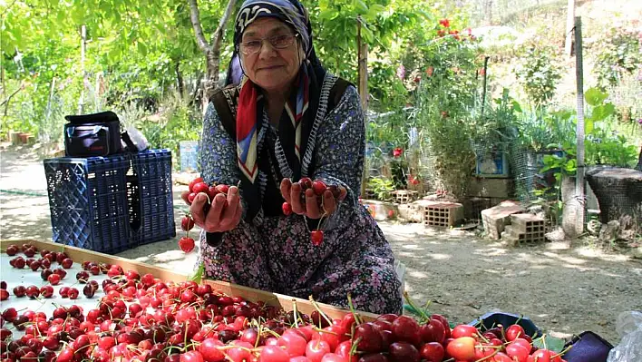 Çiftçi perişan