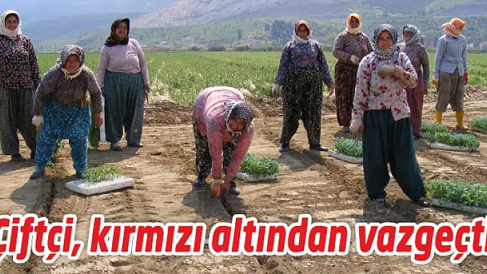 Dekar başına 8 bin 500 ton kayıp yaşandı