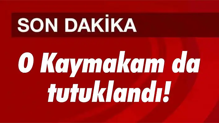 Demokrasi nöbetlerine katılan kaymakam tutuklandı