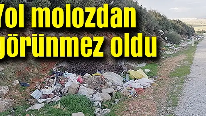 Doğa katliamı!
