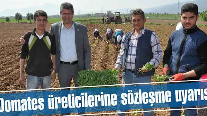 Domates üreticilerine sözleşme uyarısı