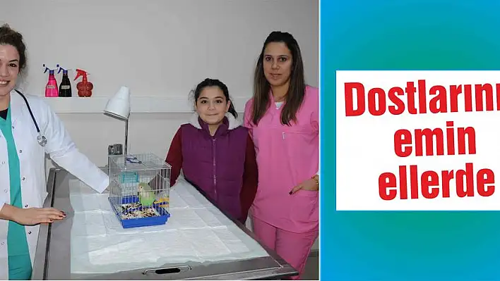 Dostlarınız emin ellerde