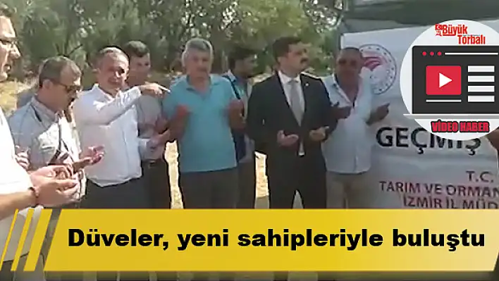 Düveler, yeni sahipleriyle buluştu