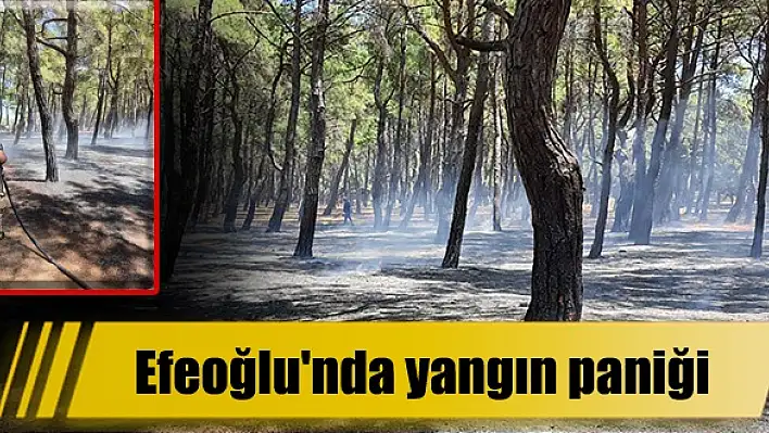 Efeoğlu’nda yangın paniği