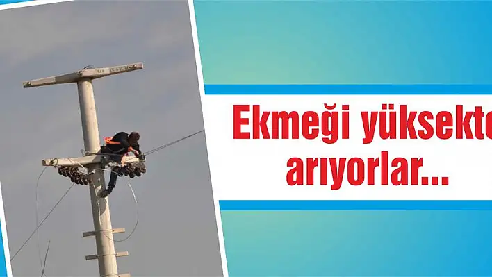 Ekmeği yüksekte arıyorlar