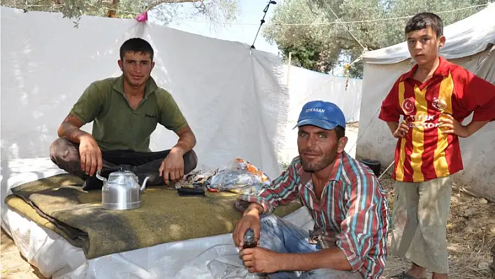 Emek mevsimlik Çile ömürlük