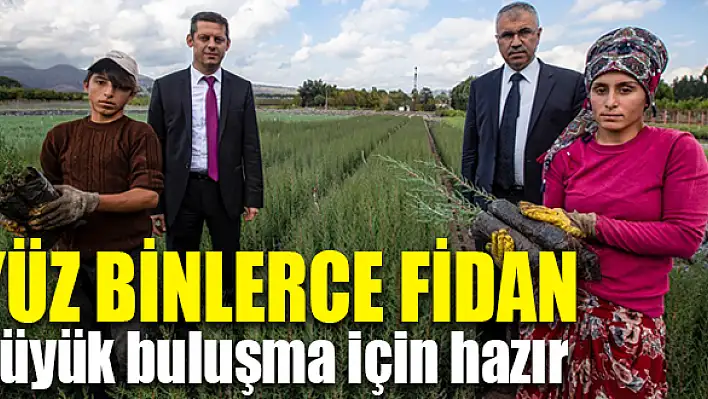 En fazla fidan Torbalı ve Muradiye’den